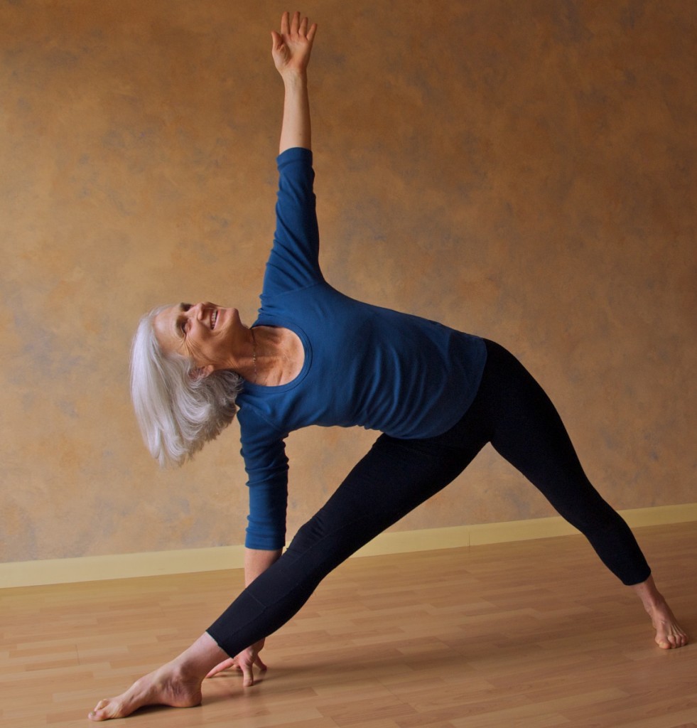 Iyengar Yoga with Certified Iyengar Teacher, Osha Hanfling