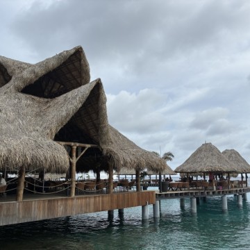 IMG_0751